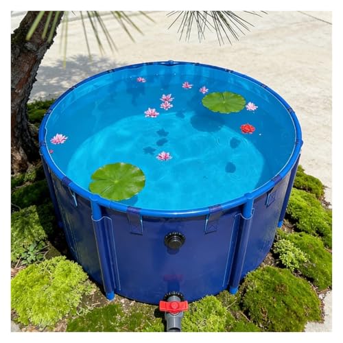 Outside Koi Fish Pond Ornamental Fish Farming Tank