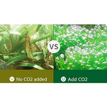 MXBAOHENG CO2 Generator Stainless Steel CO2 Tank Carbon Dioxide Reactor Kit for Natural Waterscape Hydroponic Aquatic Weed (Manual Valve Version)