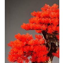 Simulation Bonsai Welcome Pine Ornaments Office Living Room Porch Decoration Crafts Opening Gift Plant House Plant (Color : L) (K)