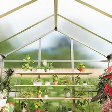8 x 12 ft Greenhouse, Greenhouses for Outside, Polycarbonate Greenhouse with Aluminum Frame, Lockable Door and Ajustable Roof Vent for Backyard, Green Houses for Outside Garden Backyard, Patio