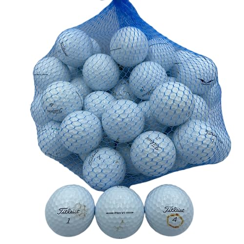 Golf Ball Planet Pro V1 2023 4A/Near Mint Used Golf Balls White