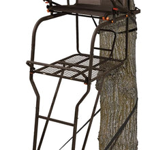 Big Game Treestands 2 Pack Hunter HD Ladder Tree Stand 18.5 Foot Black