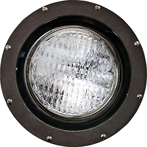 Dabmar Lighting FG4200 Fiberglass PAR38 120V Light, Bronze Finish