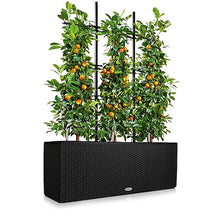Lechuza Trio Cottage 30 Graphite Black, Trough Self-Watering Large Planter, H13.4 L39.4 W12.6 in, 3 Liners