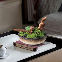 Artificial Bonsai Tree Simulazione Cinese Piante Verdi Di Muschio Decorazioni in Vaso Per Interni Soggiorno Studio Decorazioni Per Ufficio Office Decoration Bonsai