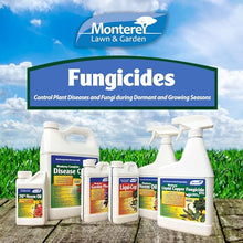 Monterey Garden Phos Fungicide, 2.5 Gal with Measuring Spoon