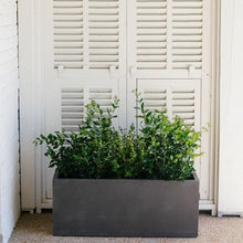 TITAN GREAT OUTDOORS Ash & Ember 15.75" Short Box Charcoal Planter, Lightweight Fiberstone with Weather-Resistant Finish, Modern Rectangle Planter Box for Indoor and Outdoor Plants