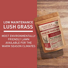 Hancock's Argentine Bahia Grass Seed - Coated - 50 lbs.