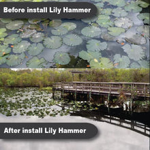 Lily Hammer (2 Pack - 6 ft x 14 ft) - Get Rid of Lilies and Algae for Good with Lily Hammer Mat - No More Green Water. The Key to Clear Water
