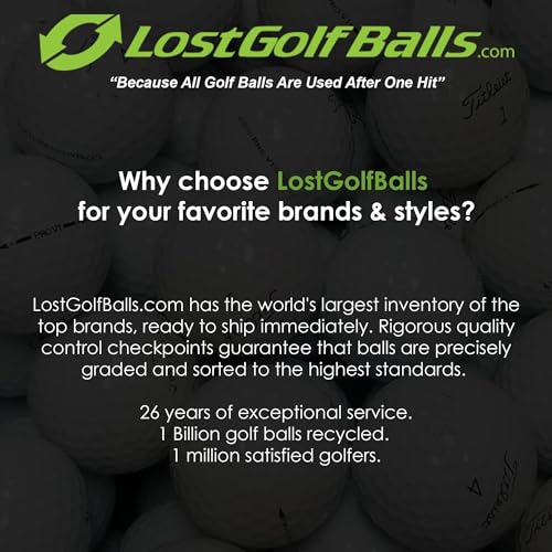LostGolfBalls.com 500 e6 Golf Balls Near Mint AAAA Quality Recycled Bulk White