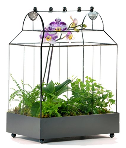 H Potter Large Glass Terrarium Wardian Case with Curved Glass, 19.5" Tall