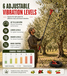 ZHIGUANYUN Handheld Fruit-Picking Tool 250W