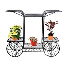 OJKJGYTF Plant Stands,Flower Stand,Metal Flower Car Frame Display Stand,Garden Tree Home Decoration Terrace Plant Standnishings/Black/One Size