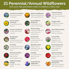 Eden Brothers Partial Shade Wildflower Mixed Seeds for Planting, 25 lb, 12,000,000+ Seeds with Sweet William, Foxglove | Attracts Pollinators, Plant in Spring or Fall, Zones 3, 4, 5, 6, 7, 8, 9, 10