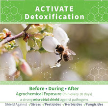 SuperDFM+P801 Probiotic Pesticide Protection Honey Bees, 55 lb, 5000 Apps