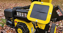 Champion Power Equipment 3-Inch Portable Chipper-Shredder with Collection Bag