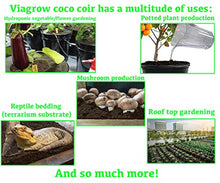 Viagrow Coconut Soilless Grow Media 11 lb 5KG Block
