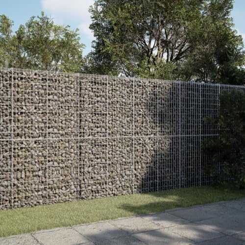 Gabion Basket Silver Galvanized Iron Large Durable Cactus potsGeometric planters Drainage pots Decorative pots for Backyard Outdoor