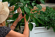 Urbanscape 36"W x 24"L Vinyl Inverted Tomato Planter