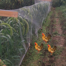Plastic Garden Fencing Garden Netting for Raised Beds, Durble Nylon Anti Bird Net Greenhouse Row Covers for Vegetables Plants Fruits Flowers Crops Protection, Small Hole 3/5x3/5in(15x25m(49x82ft))