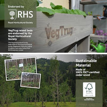 VegTrug Wall Hugger, Grey Wash, Medium 1.8m - Cedar Wood Raised Garden Bed -Outdoor Space-Saving Vegetable and Herb Planter Box for Balcony, Patio, Courtyard Gardening