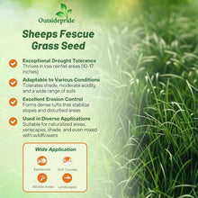Outsidepride Sheeps Fine Fescue Grass Seed - 50 Lbs. Perennial, Pure Raw Seed w/ 0.00% Other Crop & Weed Seed