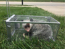 AB Traps Quality Live Animal Humane Trap for Rats, Mice, and Rodents - Small 10.5" x 5.5" x 4.5" 100-Pack