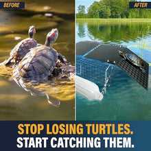 Outdoor Water Solutions Floating Turtle Trap – Heavy Duty Aluminum Frame, No Bait Required, Humane & Maintenance Free Traps for Ponds, Lakes, and Aquatic Wildlife Control - Made in The USA