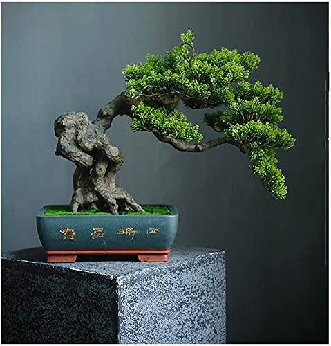 LSHAOBO Artificial Bonsai Tree Simulation Welcome to Tree Hotel Office Tea Several Live Hall Extreme Decoration (Color:D)