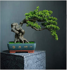 LSHAOBO Artificial Bonsai Tree Simulation Welcome to Tree Hotel Office Tea Several Live Hall Extreme Decoration (Color:D)