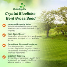 Outsidepride Crystal Bluelinks Creeping Bent Grass Seed - 25 lbs. Dense Turf Grass for Golf Greens & Putting Surfaces, Fine-Textured, Tolerant to Close Mowing for Smooth, Consistent Lawn Coverage