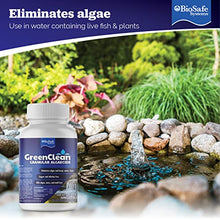 BioSafe Systems 3002-2.5 GreenClean Granular Algaecide, 2.5 lbs., (Case of 12), Algae Control for Koi Ponds, Fountains, Waterfalls, and Water Features, EPA Registered