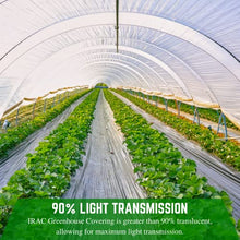Farm Plastic Supply - Clear IRAC Greenhouse Plastic Sheeting - 6 Mil - (32' x 80') - 4 Year UV Resistant Infrared Anti-Condensate Green House Covering Thermal Greenhouse Plastic 6 mil