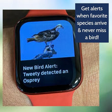 Haikubox Bird Song & Call Identifier: 24/7 backyard sound identification