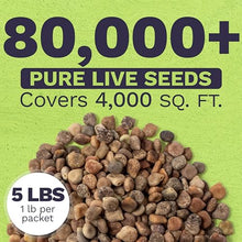 Bulk Texas Bluebonnet Wildflower Seeds - 5 Pounds - Over 80,000 Native Seeds - Texas State Flower!