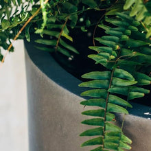 TITAN GREAT OUTDOORS Ash & Ember 22" Laurel Charcoal Planter, Lightweight Fiberstone Composite with Weather-Resistant Finish, Modern Planter Pot for Indoor and Outdoor Plants