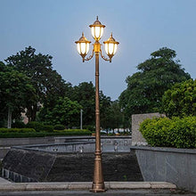 Lamp Post Lights Outdoor,Led Lawn Lamp Outdoor High Pole Lamp Community Path Light Garden Landscape Lamp Lighting European Victorian Victorian Style Villa 2.6 Meters Courtyard Street Lamp