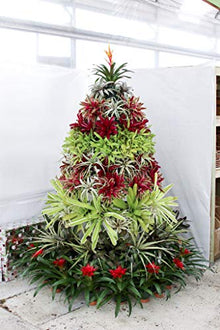 Creative Displays Full Round Poinsettia Tree Rack Display 106FB - Freestanding Vertical Garden Frame | Great for Poinsettias, Flowers, Potted Plants, Succulents, and More (6.5 Ft)