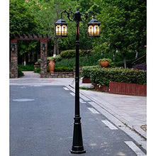 iumLeap 112Inch 2-Head Outdoor Lamp Post Light Apillar Post Light Garden Path Pillar Lamp Ip65 Waterproof Street Light Glass Lantern Courtyard Bollard Path Lamp Pathlighting (Black-112inch)