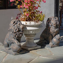 Zaer Ltd. Magnesium Pair of Lion Statues (Outdoor Safe) (27" Tall w/Ball (Set of 2), Aged Bronze (Painted))
