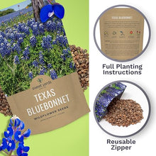 Bulk Texas Bluebonnet Wildflower Seeds - 5 Pounds - Over 80,000 Native Seeds - Texas State Flower!