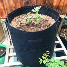 Planter Bags Pot Home Indoor Garden Breathable Potato Tomato Vegetable Moestuin Plant Growth Bag (Color : C) (B)