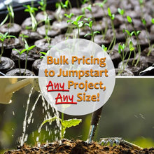 Mountain Valley Seed Co Miniature Clover Seed 25 Lb Bulk 10M Seeds Non-GMO
