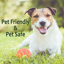 Just For Pets Pet Safe Weed Killer - (4-55 Gallon Drums)