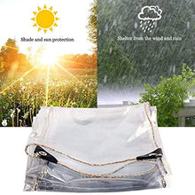 BAILR Heavy Duty Waterproof Tarpaulin with Grommets 13x33ft, Tarps Outdoor Transparent Tarp, PVC Clear Greenhouse Plant Cover, Easy to Attach (A 4×10m)