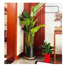 ZOCWJK Plant standPlant Pedestal Stand Household Bonsai Base Round Imitation Wood Mobile Flower Pot Tray Base with Universal Wheels Pedestal Stand for Display,One Color-19cm
