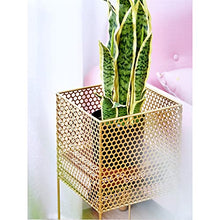 GHJUMKFDF Flower standWrought Iron Flower Stand Green Plant Metal Shelf Flower Shelf Plant Stand Solid Four Legged