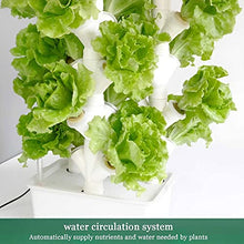 BEESOM 16/24/32 Pots Hydroponics Tower Aquaponics Grow System Garden Tower Aeroponics Growing Kit for Indoor & Outdoor - Water Tank, Sponge, Raw Tape - Herbs, Fruits and Vegetables,32Holes