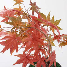 Bonsai Tree Chinese Zen Potted Model House Soft Decoration Porch Red Maple Stone Bonsai Ornaments for Garden Decoration and Desktop Display