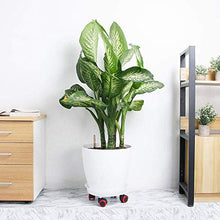EliteBloom Heavy Duty Plant Caddy with Wheels - Set of 2, 26Cm Flower Pot Stand Trolley for Indoor & Outdoor Gardening, Durable Rolling Planter Base for Easy Mobility,42cm